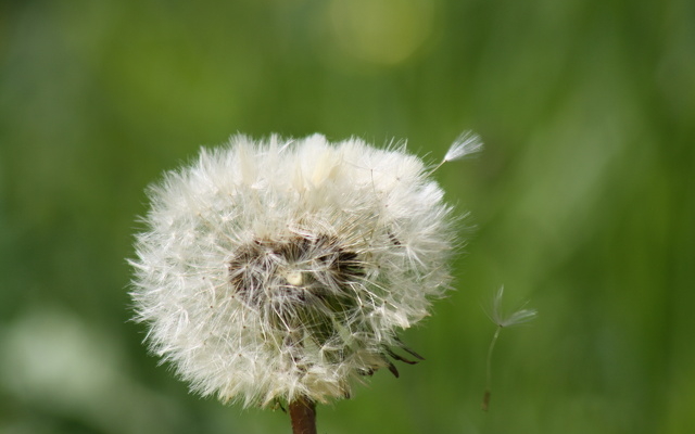 photo Jacques MATHIEN